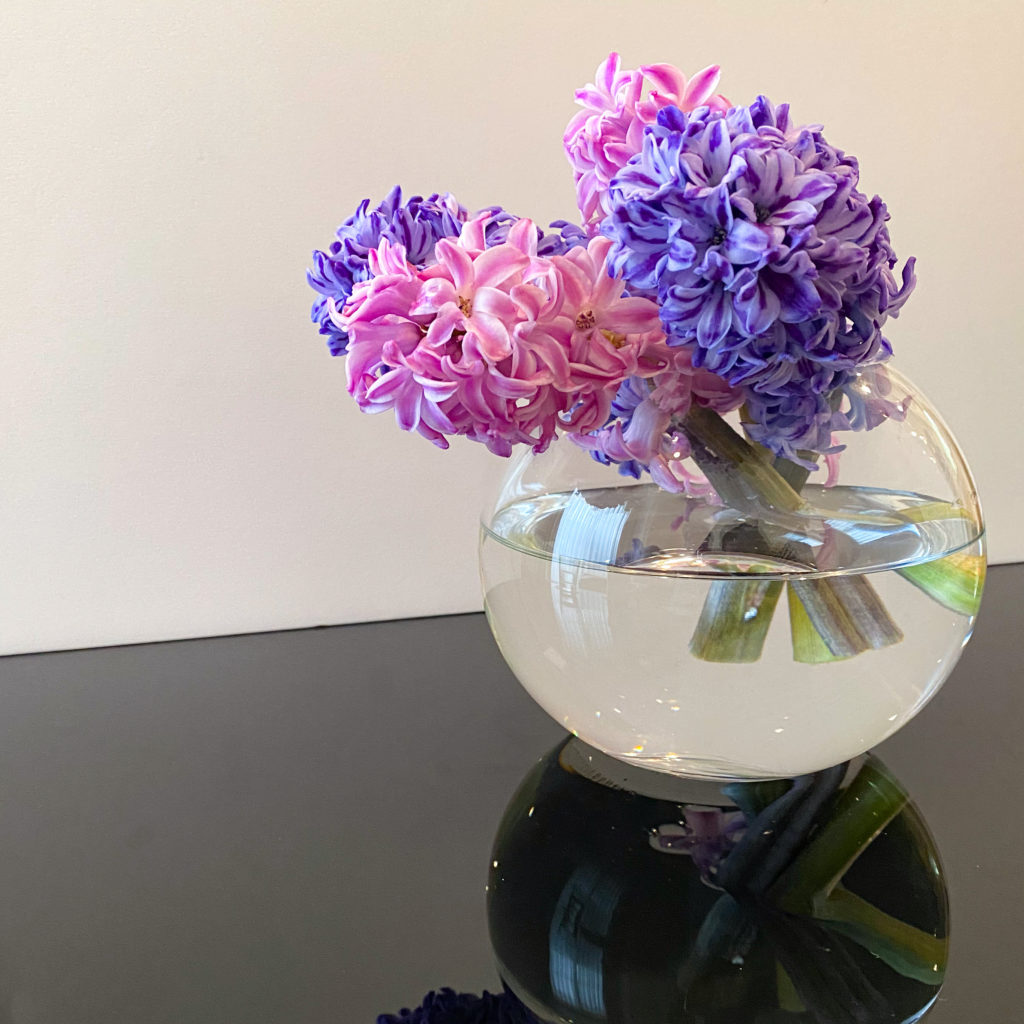 ニトリの丸い花瓶にヒヤシンスをいけたアレンジメント写真