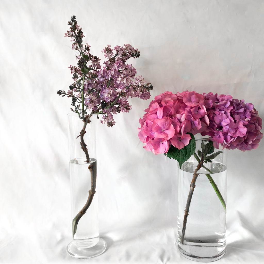 シリンダータイプの花瓶を使って私が作ったライラックとアジサイのアレンジメントを撮影した写真