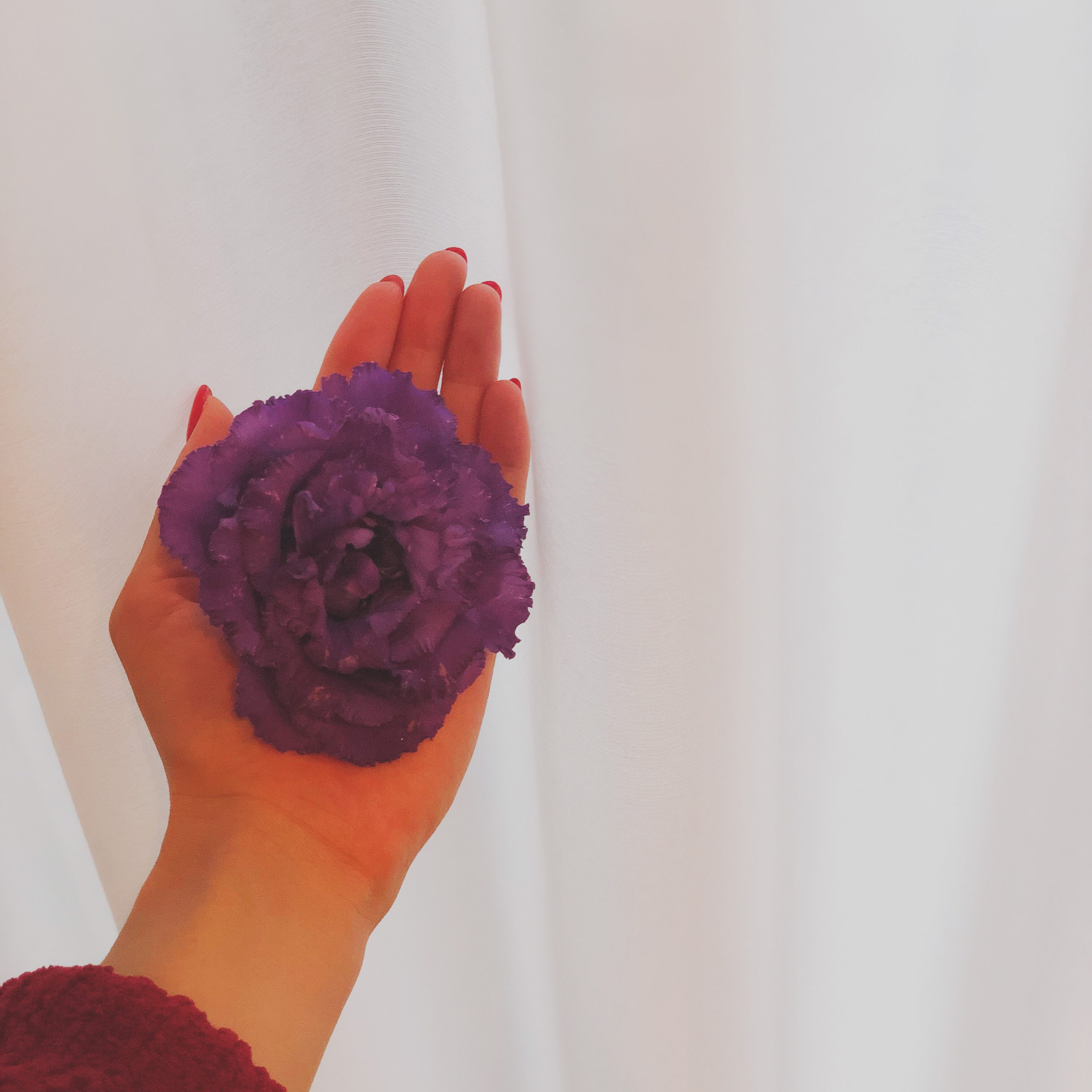 花の捨て方がわからない 捨てる罪悪感を減らす方法 Erma S Flower Note