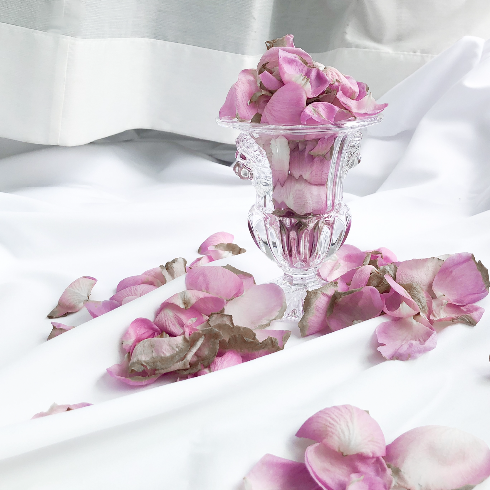 バラ風呂の作り方 自宅でのやり方と効果や注意点を総まとめ Erma S Flower Note