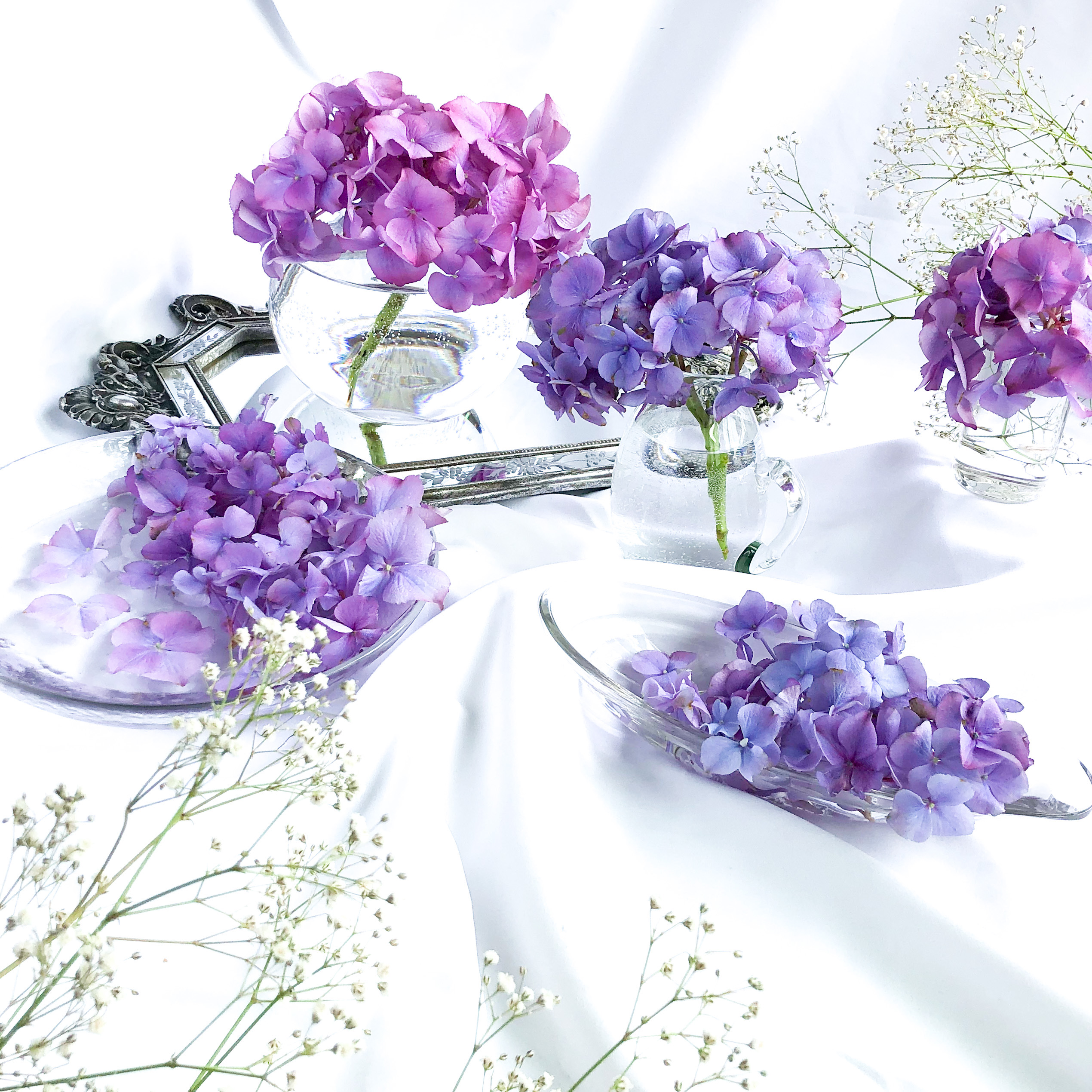 紫陽花 アジサイ の飾り方 長持ちさせるいけ方やドライフラワーの方法 Erma S Flower Note