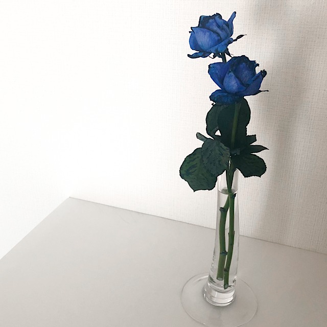 花びらアートに使った青いバラを私が撮影した写真