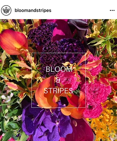 BLOOMS&STRIPES（ブルーム アンド ストライプス）公式インスタグラムから引用した花の画像