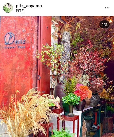 PITZ Flower Shop （ピッツ フラワーショップ）公式インスタグラムから引用した花の画像